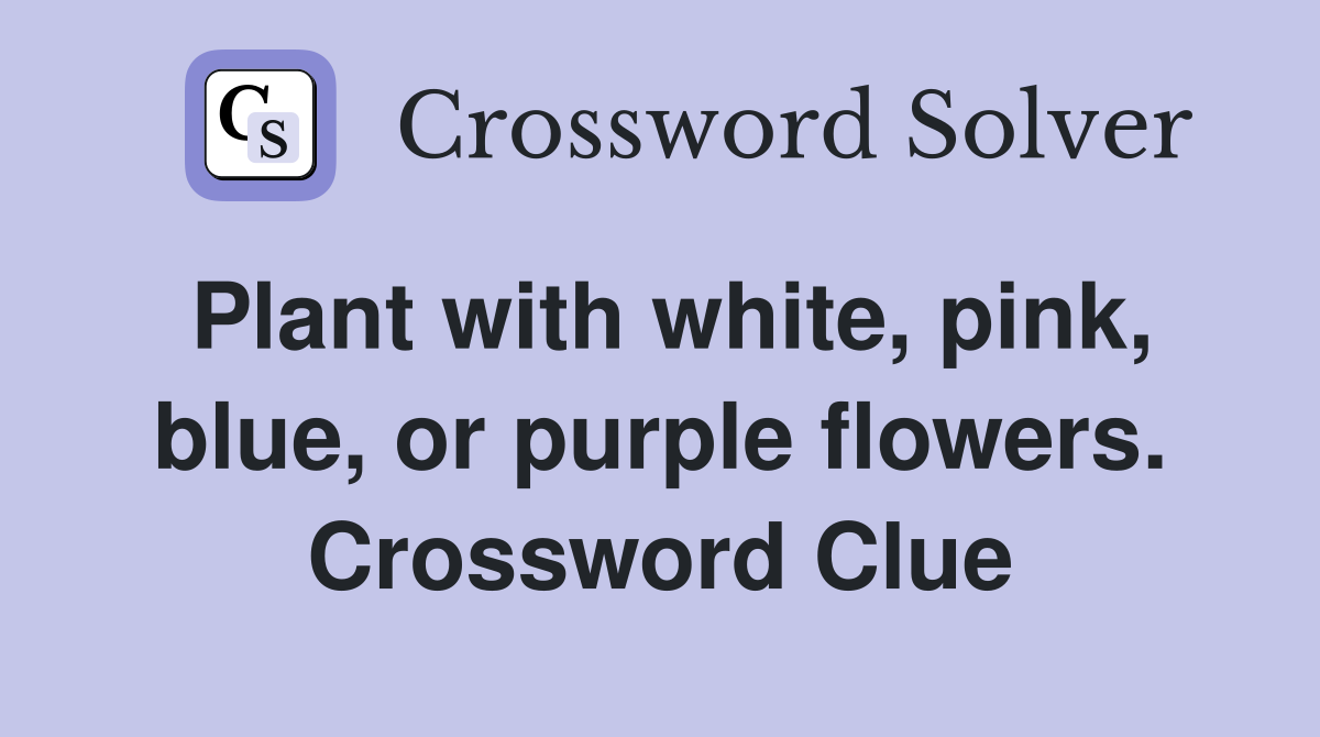 Plant with white, pink, blue, or purple flowers. Crossword Clue